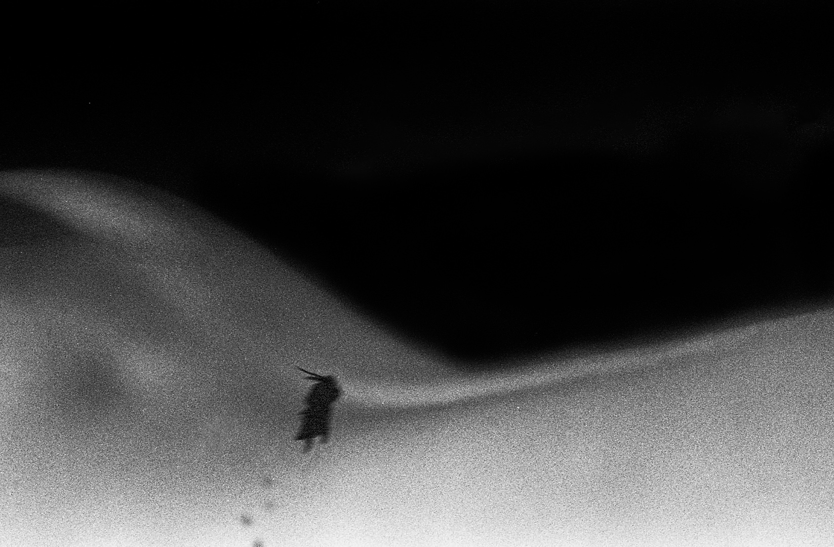 A tiny wanderer leaning into the wind, footprints trailing over a snowfield that is really an arm — cover of the series